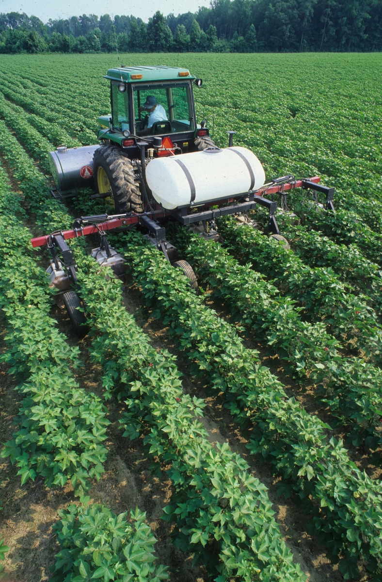 A tractor sprays a field of crops.