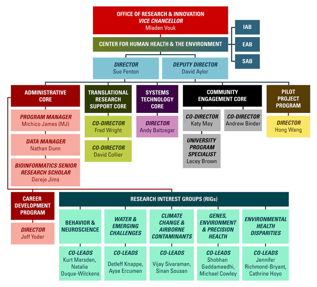 CHHE organizational chart